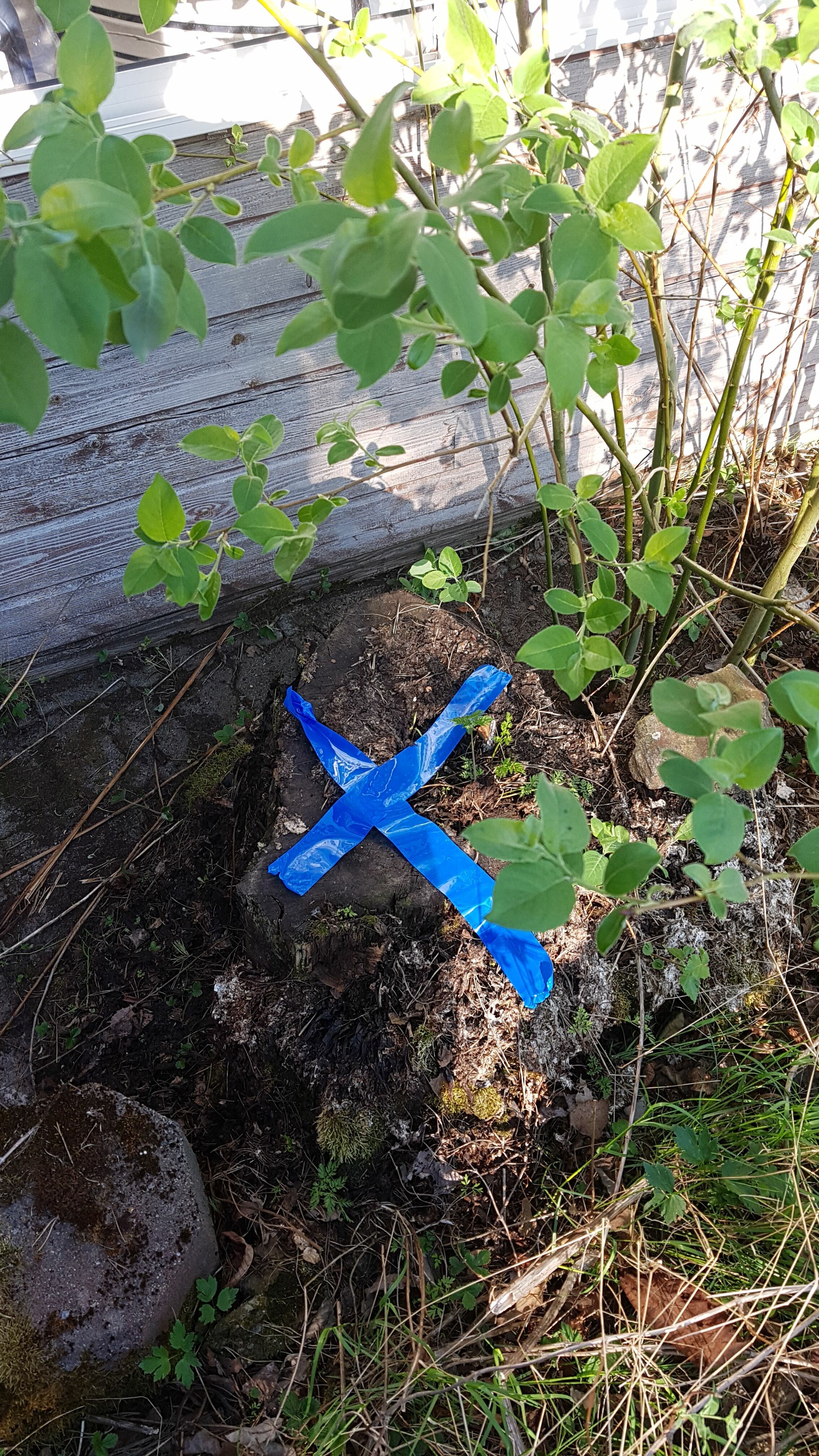 img-20180515-wa0007.jpg