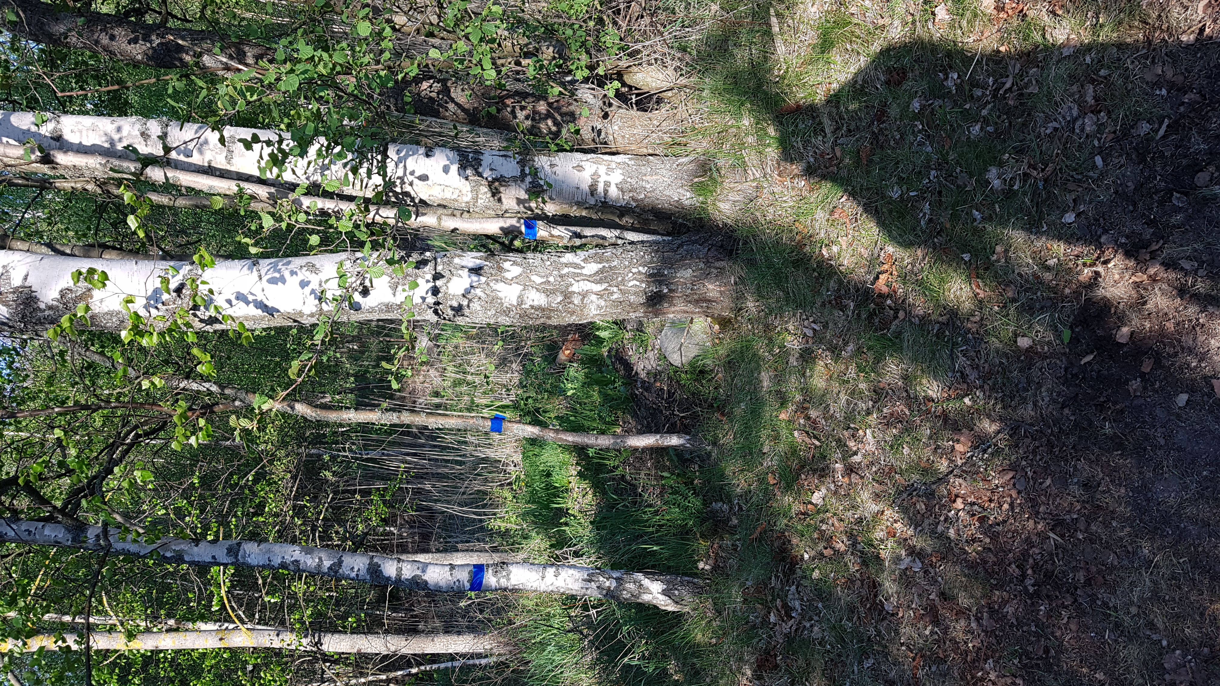 img-20180515-wa0021.jpg