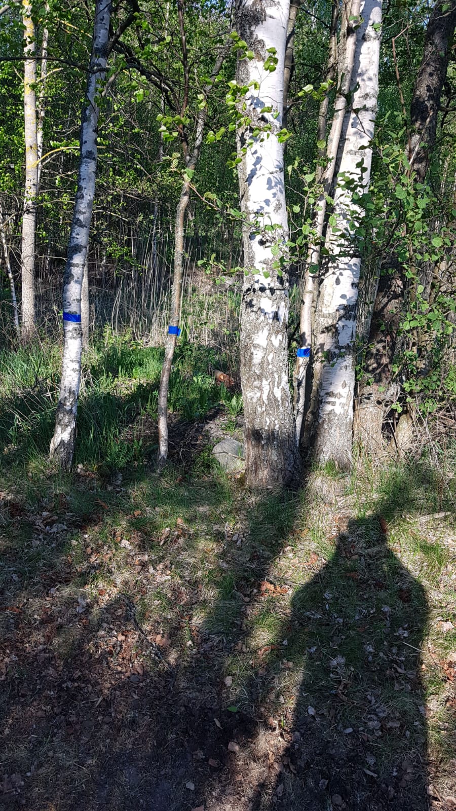 img-20180515-wa0022.jpg