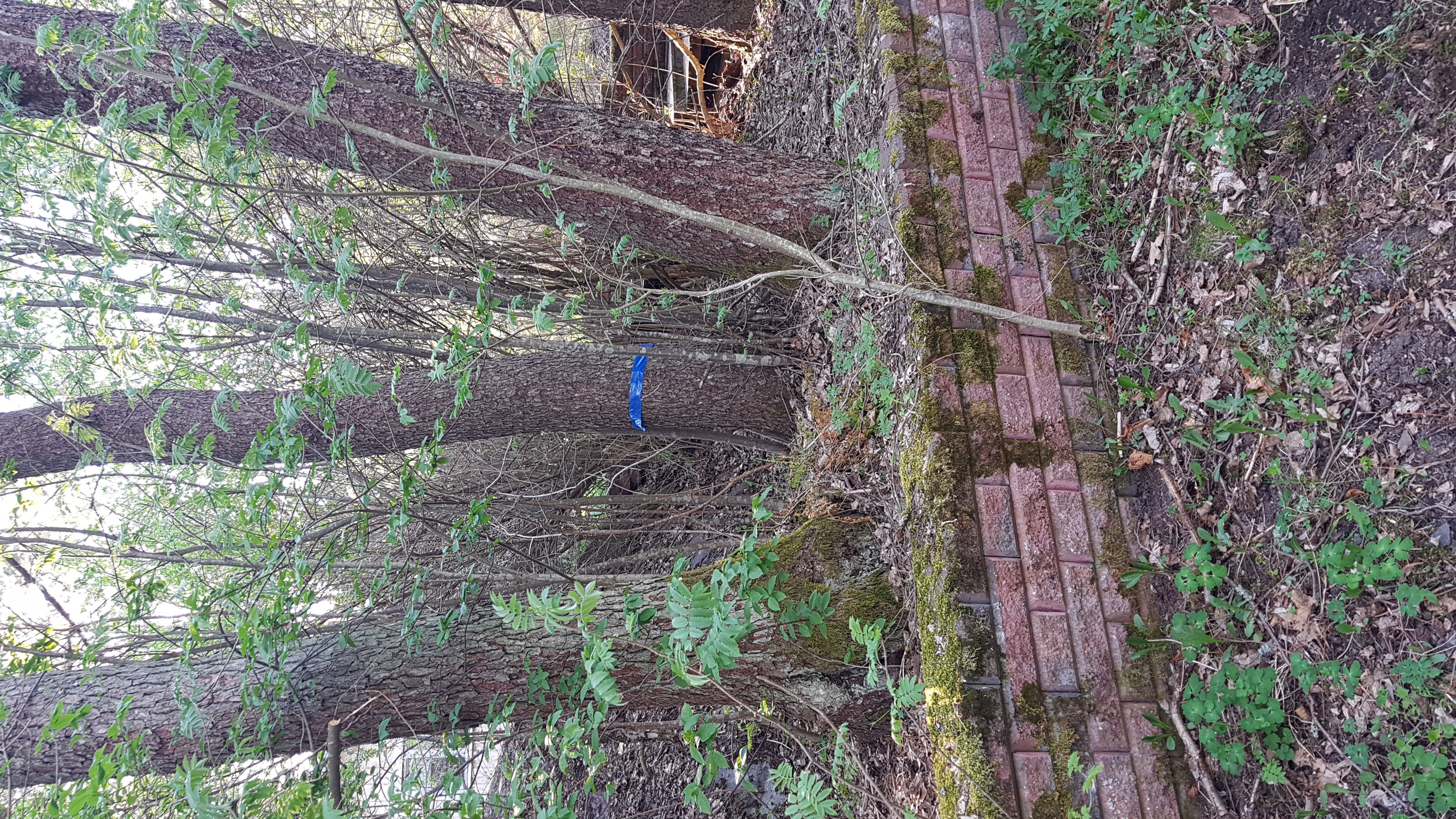 img-20180515-wa0023.jpg