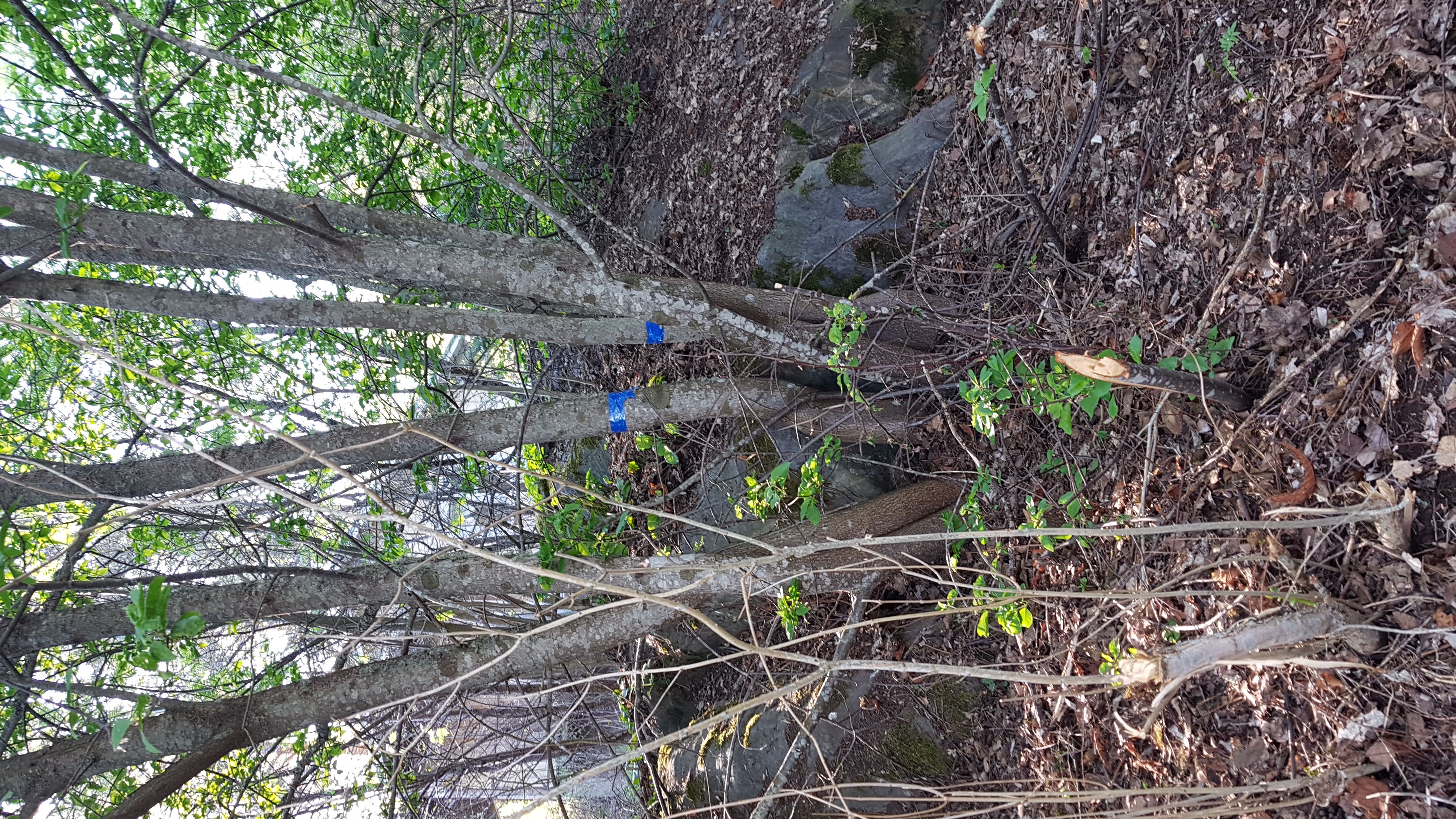 img-20180515-wa0025.jpg