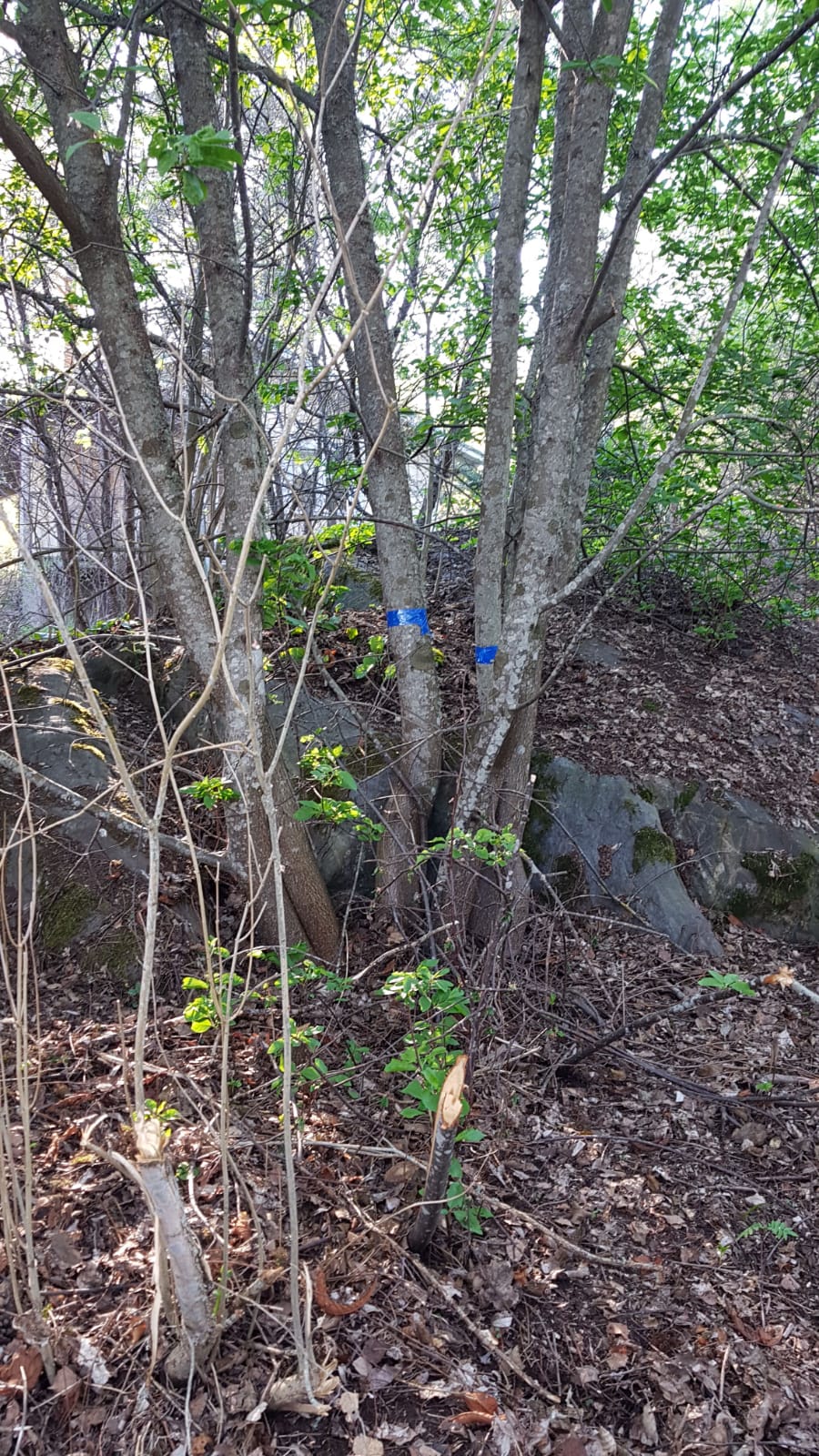 img-20180515-wa0026.jpg