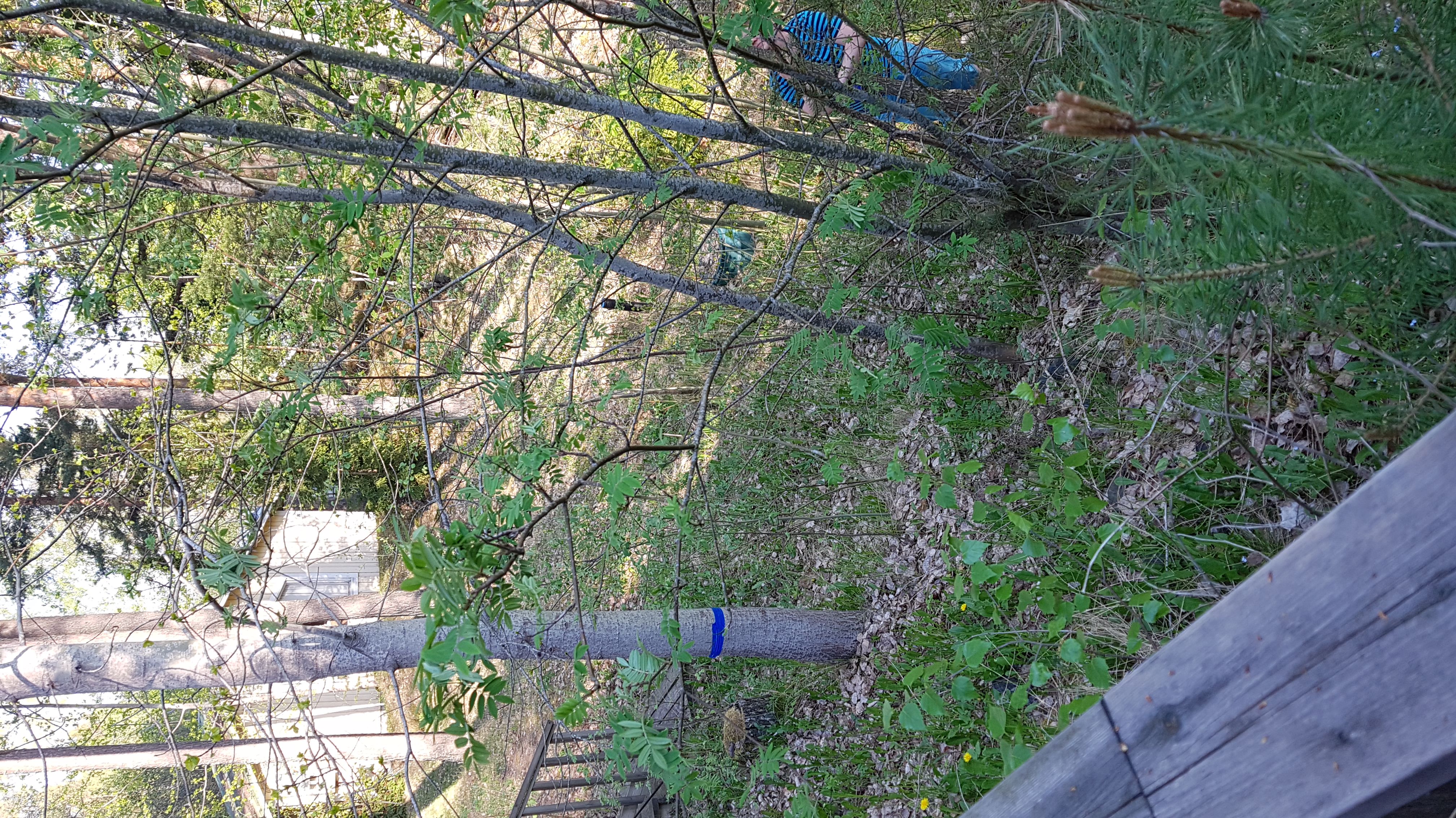 img-20180515-wa0027.jpg