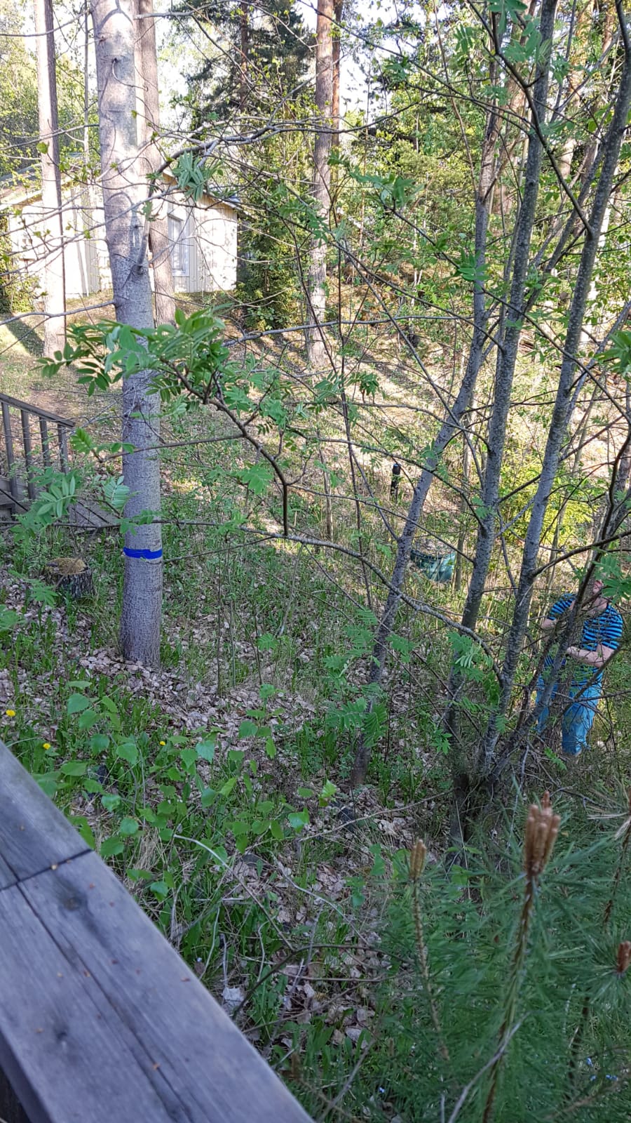 img-20180515-wa0028.jpg