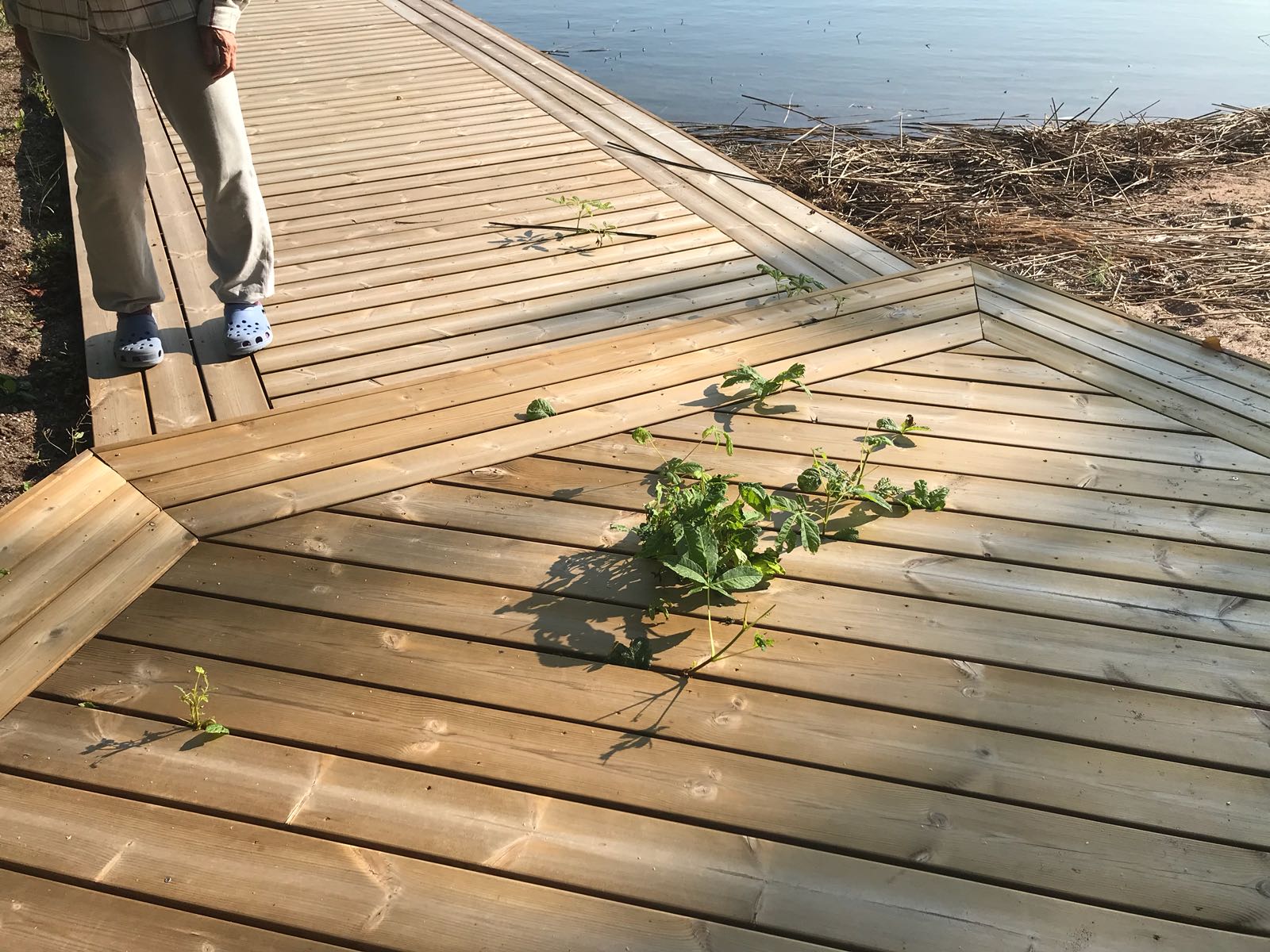 img-20180829-wa0013.jpg
